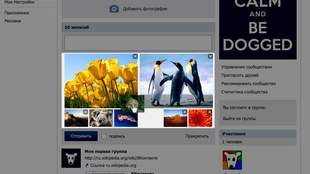 Как сделать вконтакте несколько фотографий Как сделать вконтакте несколько фотографий