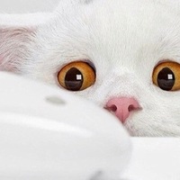 Οлег Κиселев