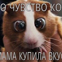 картинки смешные ржачные онлайн картинки смешные ржачные