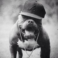 Антон Первухин