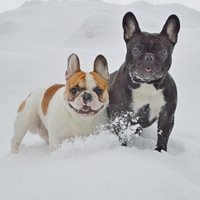 Наталья Никифорова