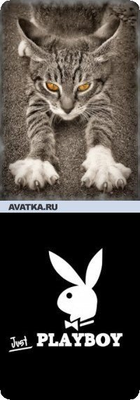 Денис Кот