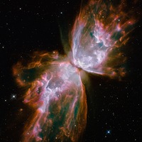 Виктор Шарыгин