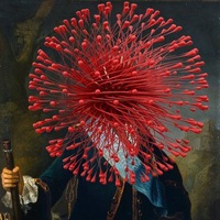 Максим Гадость