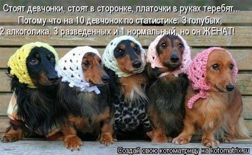 картинки с именем ксюша прикольные онлайн картинки с именем ксюша прикольные