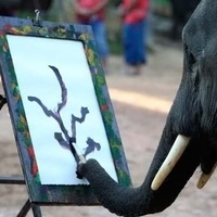 Лейсан Вахитова