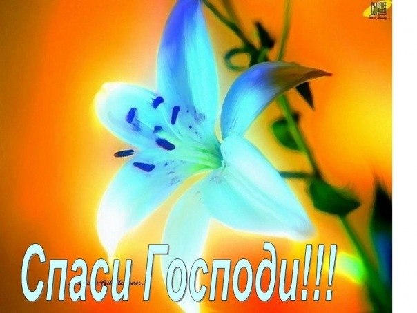 картинки спаси господи