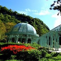 Раушан Битенова