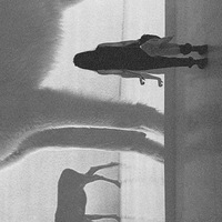 Женя Авангардова