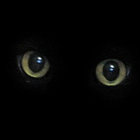 Игорь Манчур