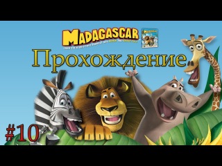 Мадагаскар прохождение - Серия 10