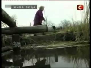 Канал СТБ о Коралловой Воде