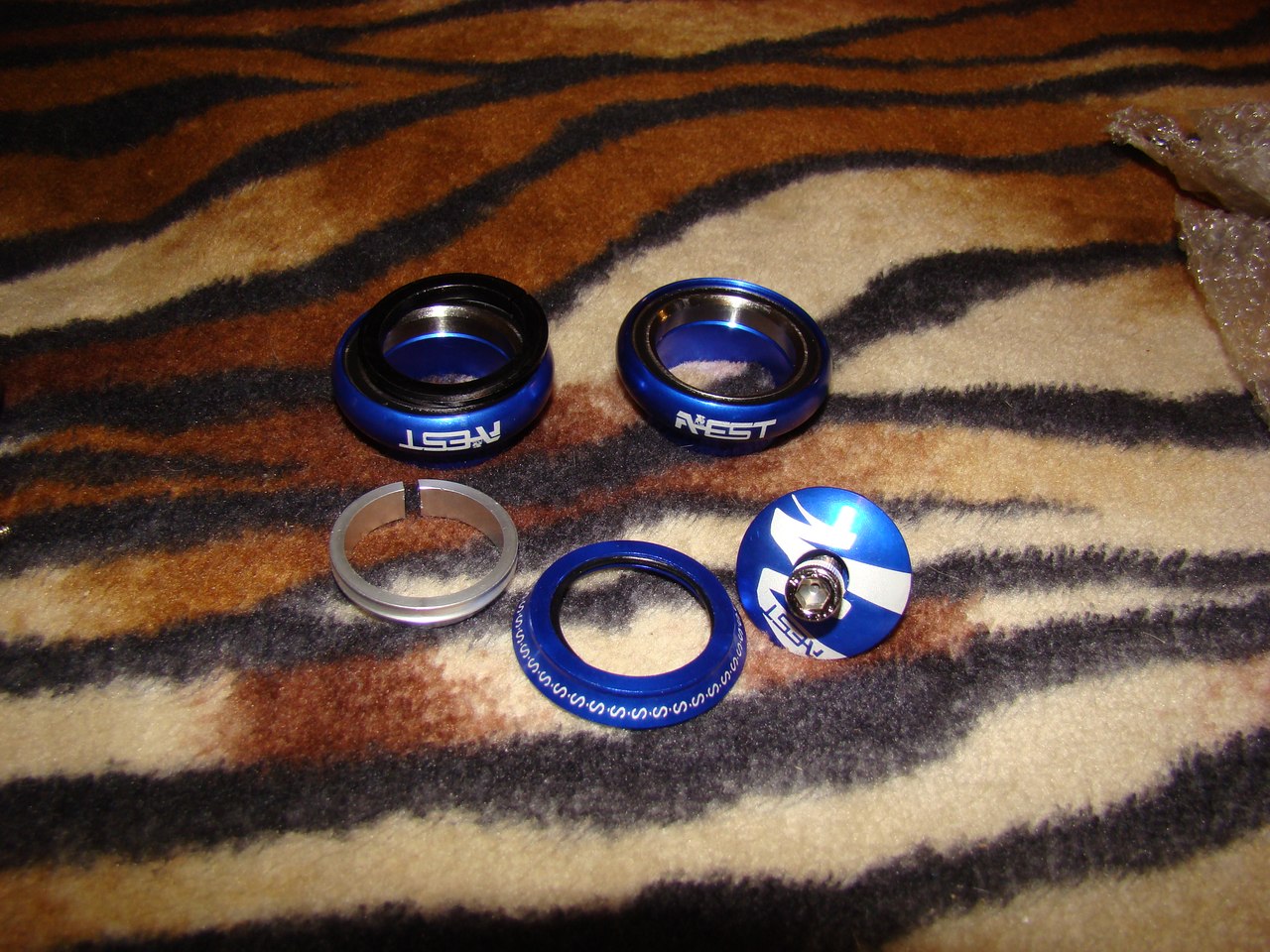 ZL9PCjg6xPE.jpg
