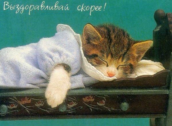 мамочка выздоравливай картинки онлайн