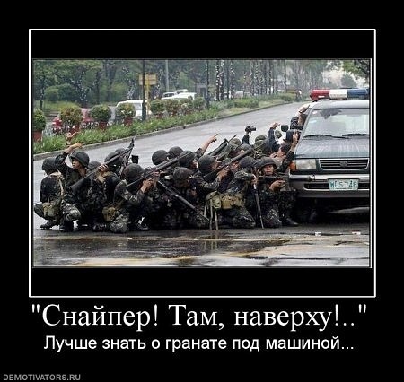 картинки прикольные сталкер онлайн картинки прикольные сталкер