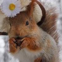 Татьяна Богатова