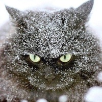 Ольга Рябова