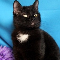 Галина Ахмерова | Магнитогорск