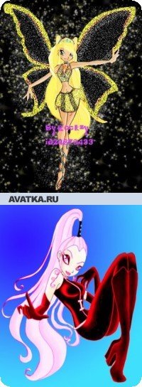 Вита-Айсен Kittens