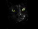 ~.•°*”†LUCIFER†”*°•.~ Uent