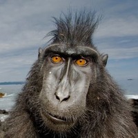 Павел Всхлюпендсон  Властелин