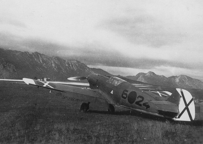 d5Fw2_GI6V8.jpg