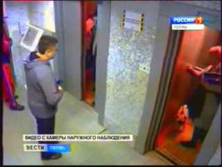 Чудесное спасение собаки зафиксировала камера наружного наблюдения