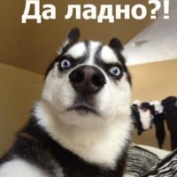 прикольные картинки про друзей. онлайн