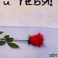 Комплименты для девушки о красоте в стихах 2