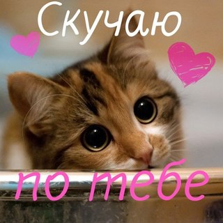 фото очень скучаю по тебе онлайн фото очень скучаю по тебе