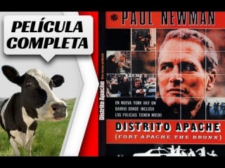 DISTRITO APACHE, EL BRONX | Pelicula Completa (1981 - Paul Newman)