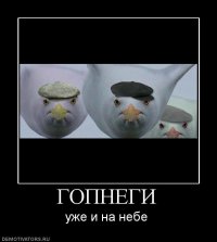 Лёха Grammatey