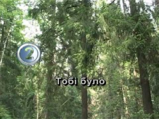 ТЕЧЕ ВОДА КАЛАМУТНА — караоке Українська народна пісня Ukrainian folk song karaoke