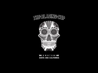 Blading Cup 2013 by Themgoods
