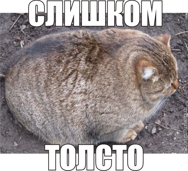 Fnu7DZsf2_Y.jpg