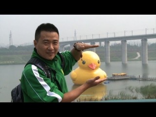 Peking duck not all it's quacked up to be