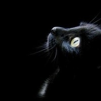 Чейнеш Ченчаева