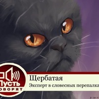 коты воители картинки щербатая онлайн