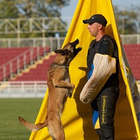 Олег Ветров