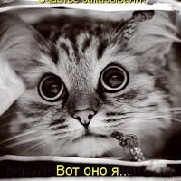 Алёна Ульянова