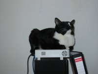 Анна Бокова