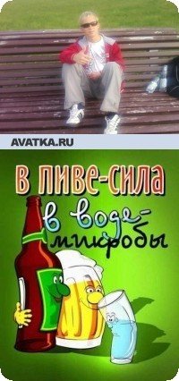 Virus Net