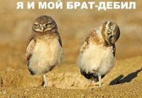 Гертруда Дощечкина