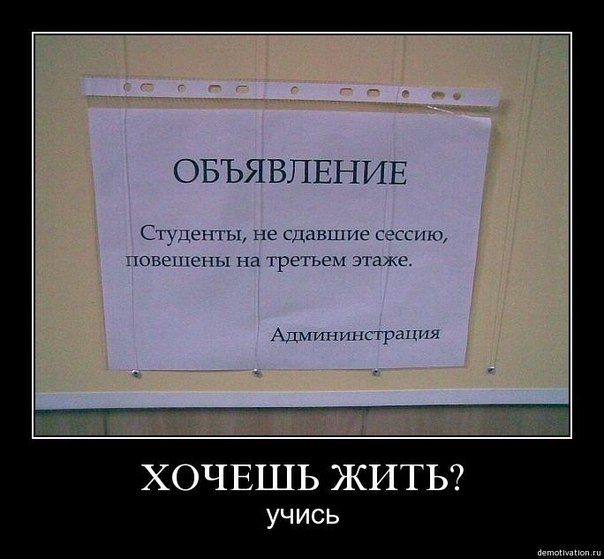 смешные картинки про идиотов онлайн смешные картинки про идиотов
