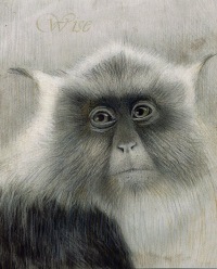 Дмитрий Завьялов