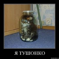 Миха Бородулин