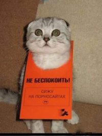 Тарас Окороков