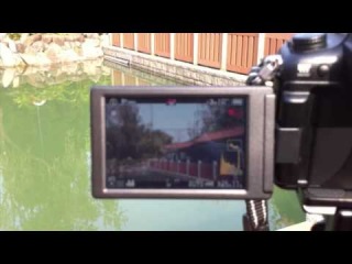 How to do the color restoration with a modified all color infrared camera