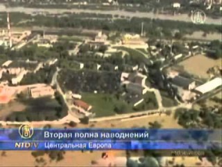 Человек-основной виновник бед на планете Земля...Посмотри на себя в зеркало