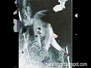 Real Ghost Pictures & Famous Ghost Photos ѭѭ